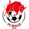 https://img.haovit.com/img/football/team/b201265fa89720bf8cd8ef95549a4738.png